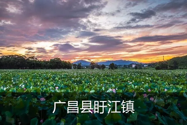 广昌县盱江镇